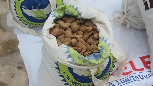 Elazığ'da 'organik badem hasat etkinliği' düzenlendi