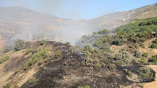 Elazığ'da 1 saatte 3. yangın: Söndürme çalışmalarına TOMA'lar da destek verdi
