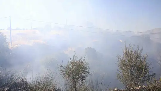 Elazığ'da 1 saatte 3. yangın: Söndürme çalışmalarına TOMA'lar da destek verdi