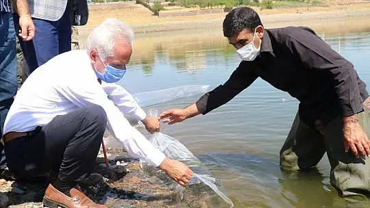 Elazığ'da 100 bin bin yavru sazan balığı gölete bırakıldı