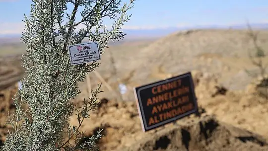 Elazığ'da 11 şehit anısına fidan dikildi