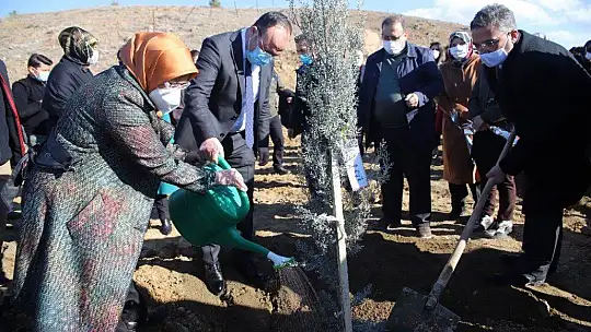 Elazığ'da 11 şehit anısına fidan dikildi