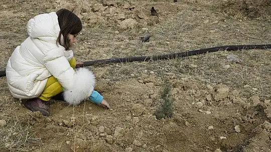 Elazığ'da 12 bin fidan toprakla buluştu