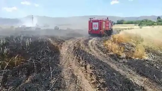 Elazığ'da 12 dönüm arpa kül oldu