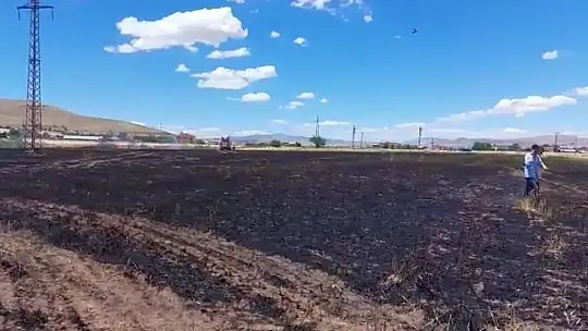 Elazığ'da 12 dönüm arpa kül oldu