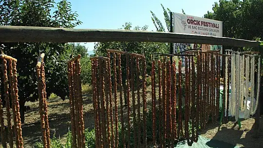 Elazığ'da 14. Bağ Bozumu ve Orcik Festivali