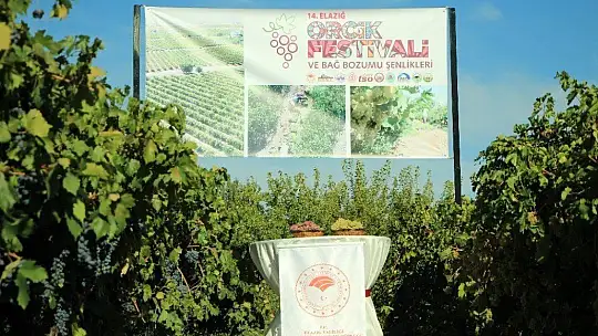 Elazığ'da 14. Bağ Bozumu ve Orcik Festivali