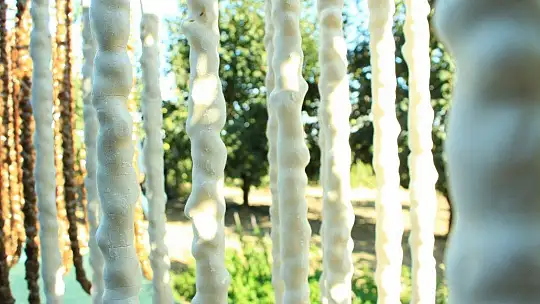 Elazığ'da 14. Bağ Bozumu ve Orcik Festivali
