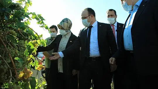 Elazığ'da 14. Bağ Bozumu ve Orcik Festivali