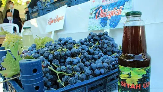 Elazığ'da 14. Bağ Bozumu ve Orcik Festivali