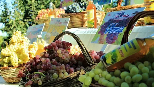 Elazığ'da 14. Bağ Bozumu ve Orcik Festivali