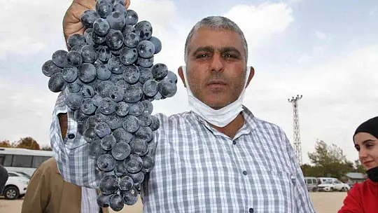 Elazığ'da 15. Bağ Bozumu ve Orcik Festivali başladı