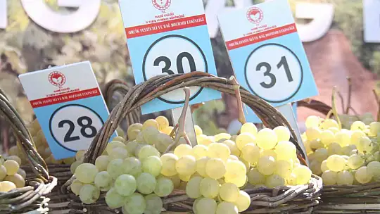 Elazığ'da 17'nci Bağ Bozumu Festivali gerçekleştirildi
