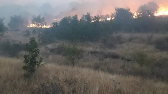 Elazığ'da 2 gün süren orman yangını söndürüldü