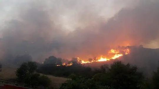 Elazığ'da 2 gün süren orman yangını söndürüldü