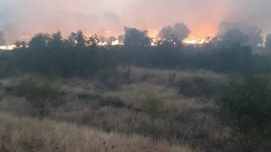 Elazığ'da 2 gün süren orman yangını söndürüldü