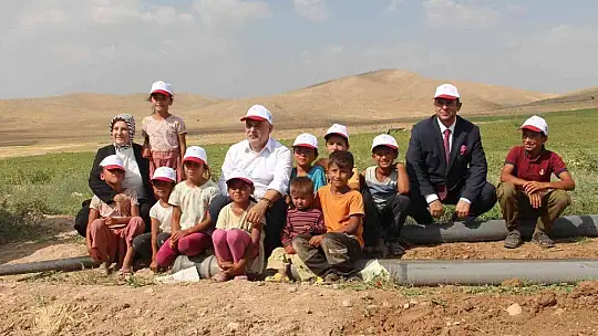 Elazığ'da 20 bin dekar alanda domates hasadı sürüyor