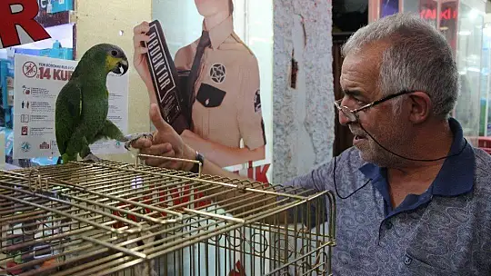 Elazığ'da 20 kelime söyleyen papağan ilgi görüyor