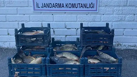 Elazığ'da 3 kaçak avcıya, 22 bin lira ceza kesildi