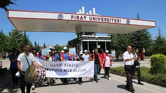 Elazığ'da 30 Haziran Koruyucu Aile Günü yürüyüşü düzenlendi