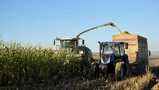 Elazığ'da 4 bin dönümlük alanda silajlık mısır hasadı başladı
