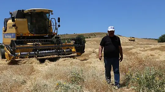 600 dönüm Arpa eken Başkan, Hasada başladı!