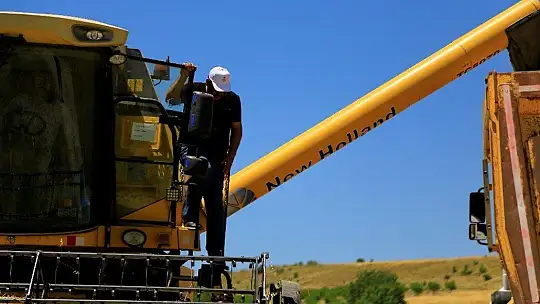 600 dönüm Arpa eken Başkan, Hasada başladı!