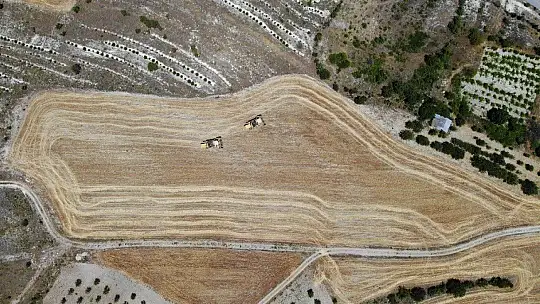 600 dönüm Arpa eken Başkan, Hasada başladı!