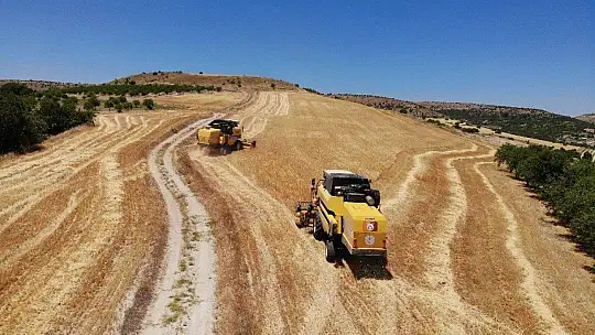 600 dönüm Arpa eken Başkan, Hasada başladı!
