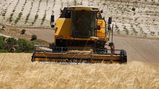 600 dönüm Arpa eken Başkan, Hasada başladı!