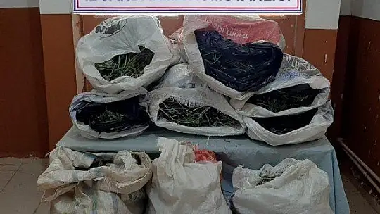 75 Kg Kubar Esrar Ele Geçirildi