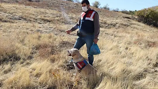 Elazığ'da 83 yaşındaki kayıp kadını iz takip köpeği 'Dost' buldu