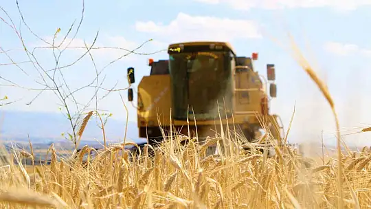 Elazığ'da 900 bin dekar alanda hasat yapılması bekleniyor