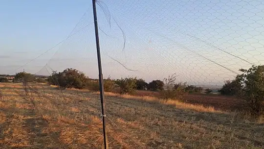 Elazığ'da ağ ve cihazla kaçak avlanan 5 şahıs yakalandı