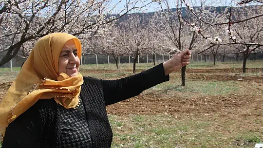 Elazığ'da ağaçlar beyaz gelinliğini giydi, muhteşem görüntü ortaya çıktı