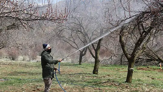Elazığ'da ağaçlar beyaz gelinliğini giydi, muhteşem görüntü ortaya çıktı