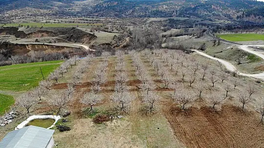 Elazığ'da ağaçlar beyaz gelinliğini giydi, muhteşem görüntü ortaya çıktı