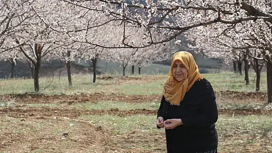 Elazığ'da ağaçlar beyaz gelinliğini giydi, muhteşem görüntü ortaya çıktı