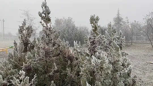 Elazığ'da ağaçlar kırağı tuttu, süs havuzları dondu