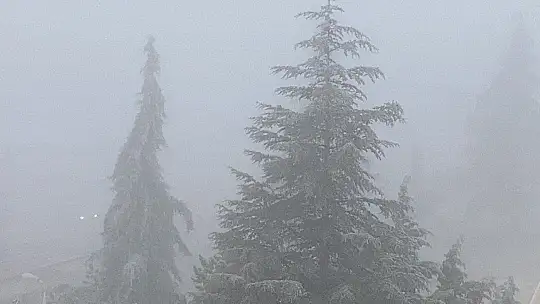 Elazığ'da ağaçlar kırağı tuttu, süs havuzları dondu