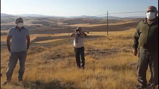 Elazığ'da ağla kurulu av düzeneği ele geçirildi