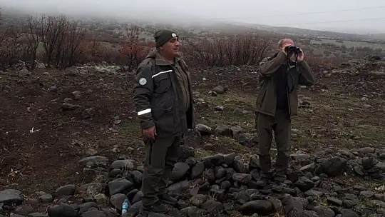 Elazığ'da av koruma ve kontrol faaliyetleri sürüyor