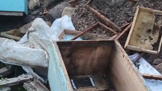 Elazığ'da ayılar arı kovanlarını parçaladı