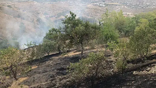 Elazığ'da bahçe yangınında 20 dönüm alan zarar gördü