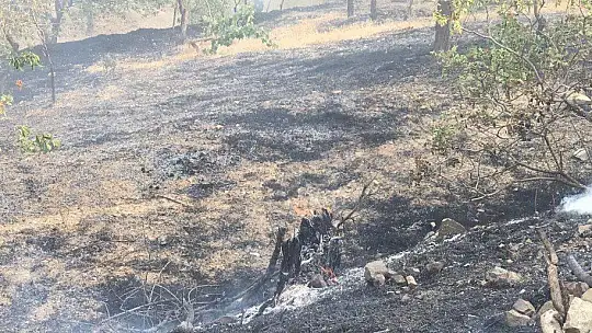 Elazığ'da bahçe yangınında 20 dönüm alan zarar gördü