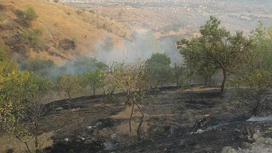 Elazığ'da bahçe yangınında 20 dönüm alan zarar gördü