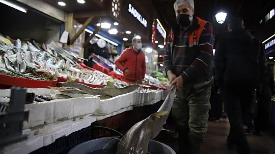 Elazığ'da balıkçının 'Norveç'ten' getirttiği köpek balığı dikkat çekti