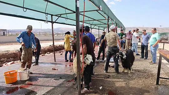 Elazığ'da bayramın son gününde kurbanlık alma telaşı sürdü