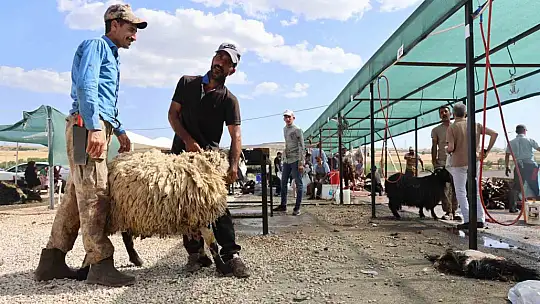Elazığ'da bayramın son gününde kurbanlık alma telaşı sürdü