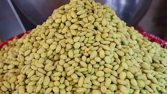Elazığ'da bir ilk: Vişneli badem şekerinin ardından limonlusu yapıldı